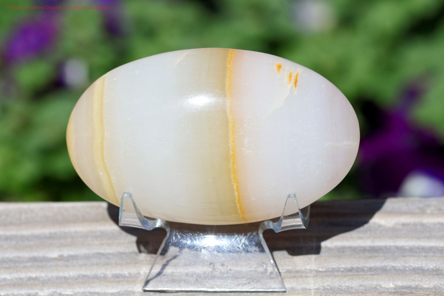 メロンカルサイトの画像” loading=