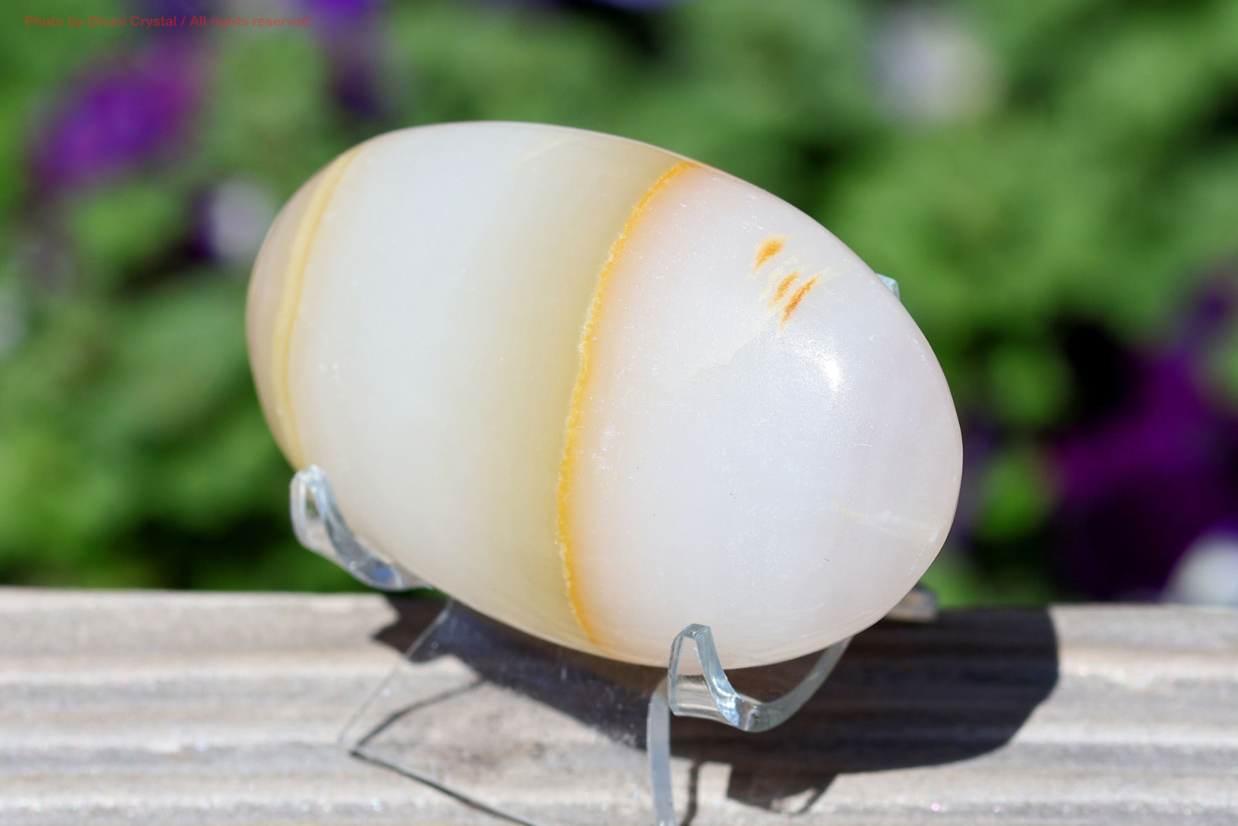 メロンカルサイトの画像