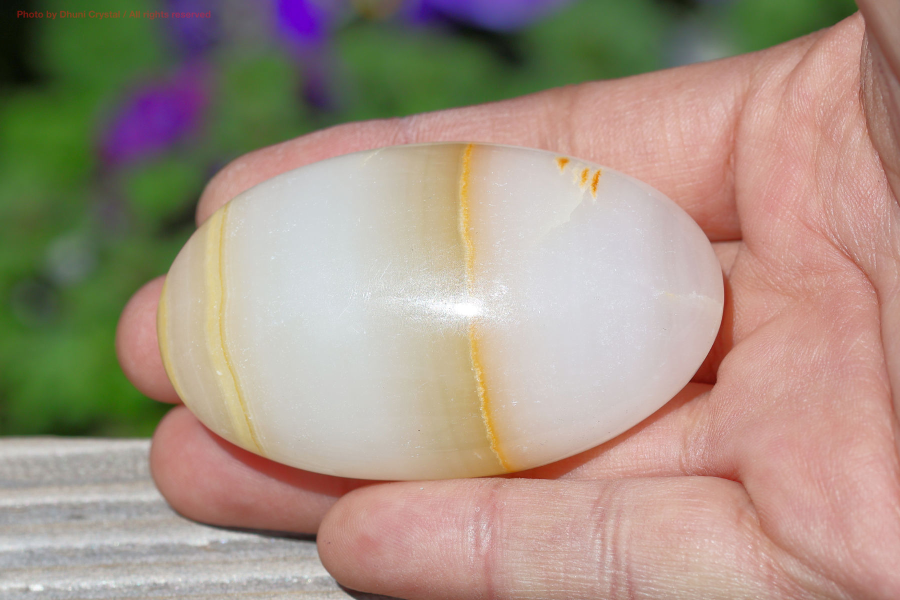 メロンカルサイト手の上の画像