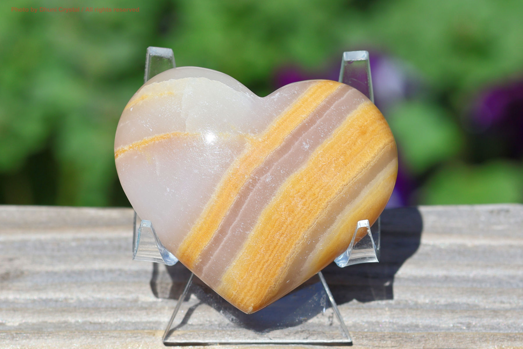 メロンカルサイトの画像” loading=