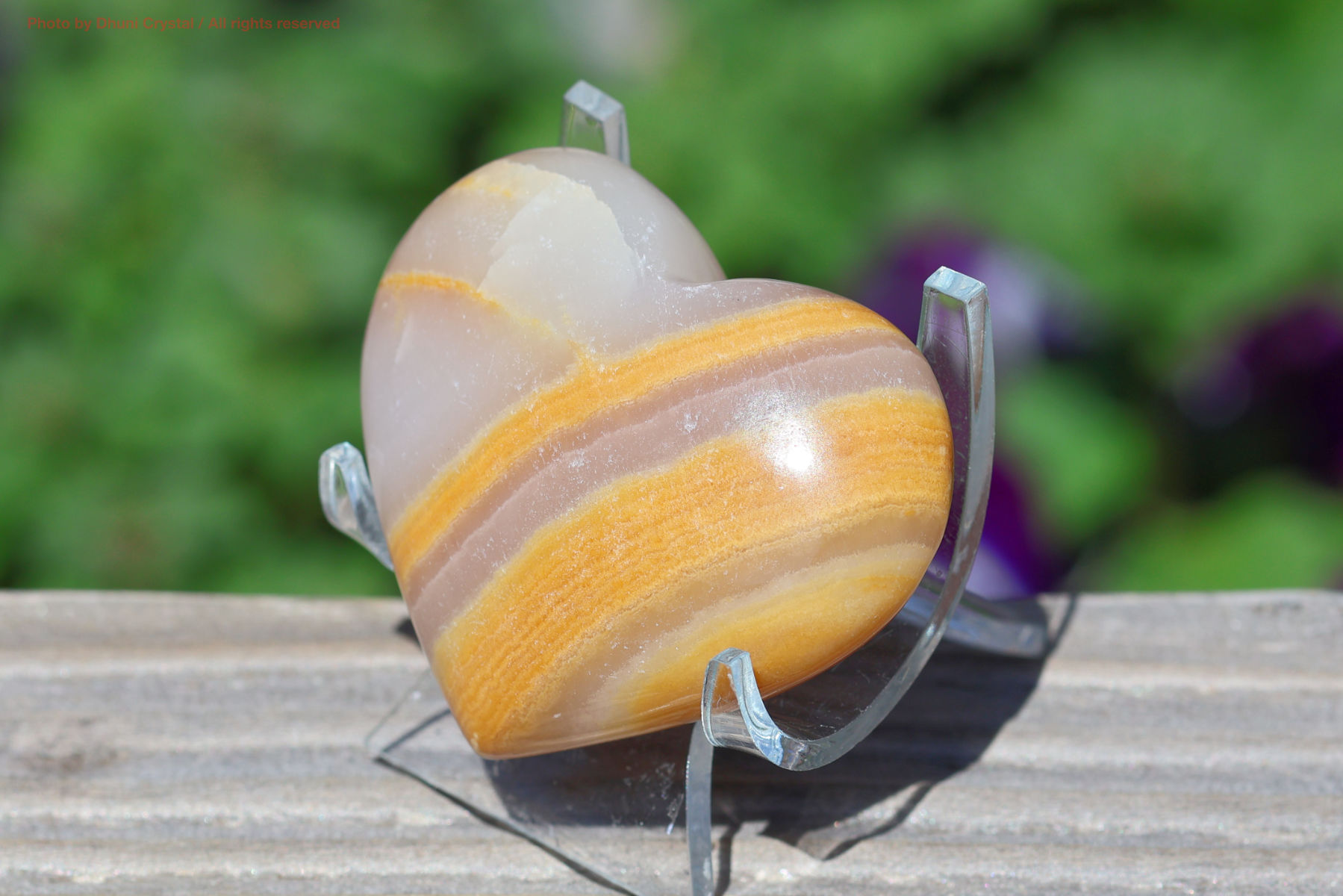 メロンカルサイトの画像