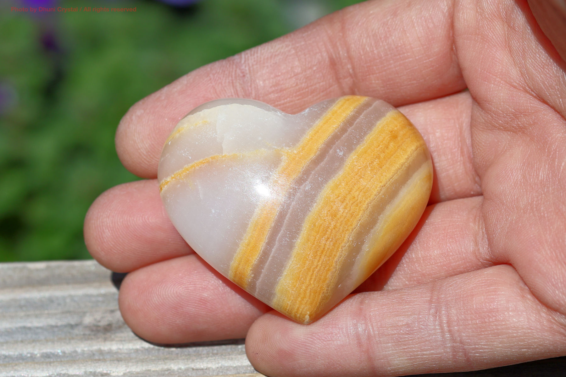 メロンカルサイト手の上の画像