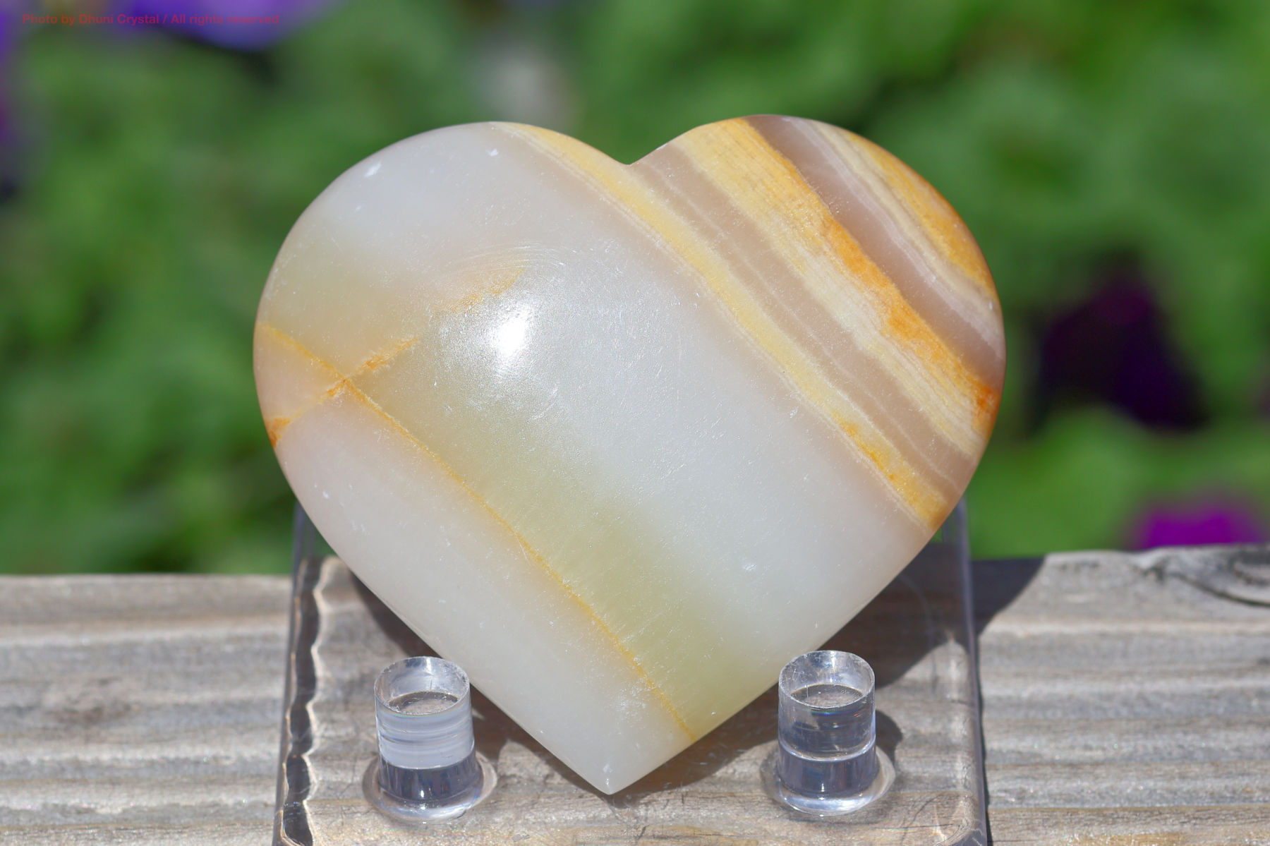 メロンカルサイトの画像” loading=