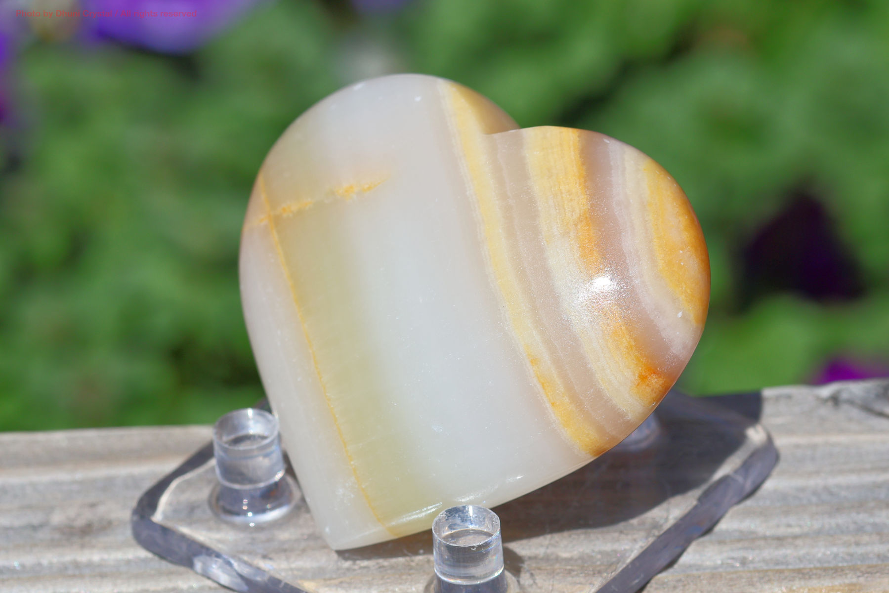 メロンカルサイトの画像