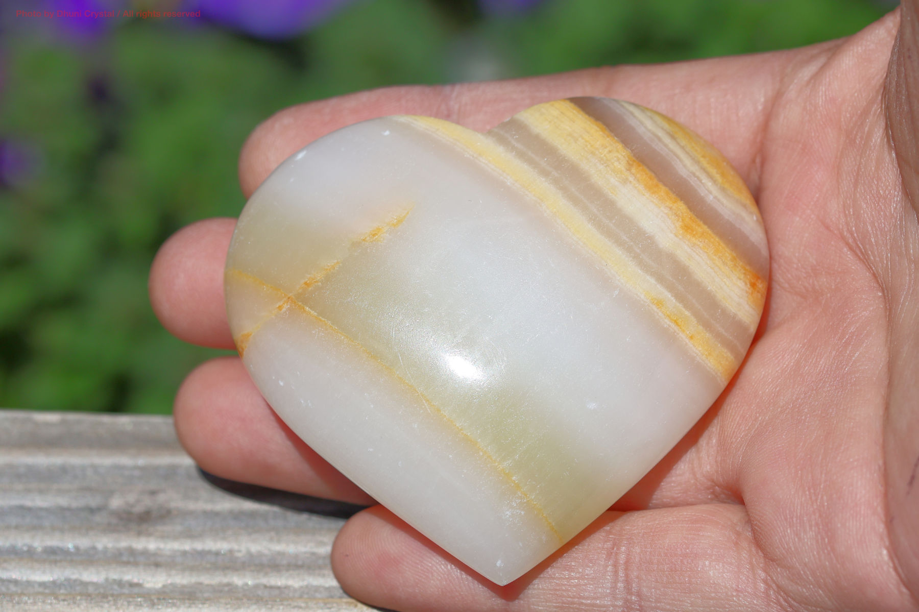 メロンカルサイト手の上の画像