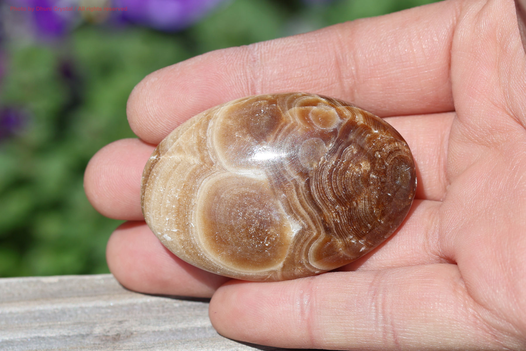 チョコレートカルサイト手の上の画像