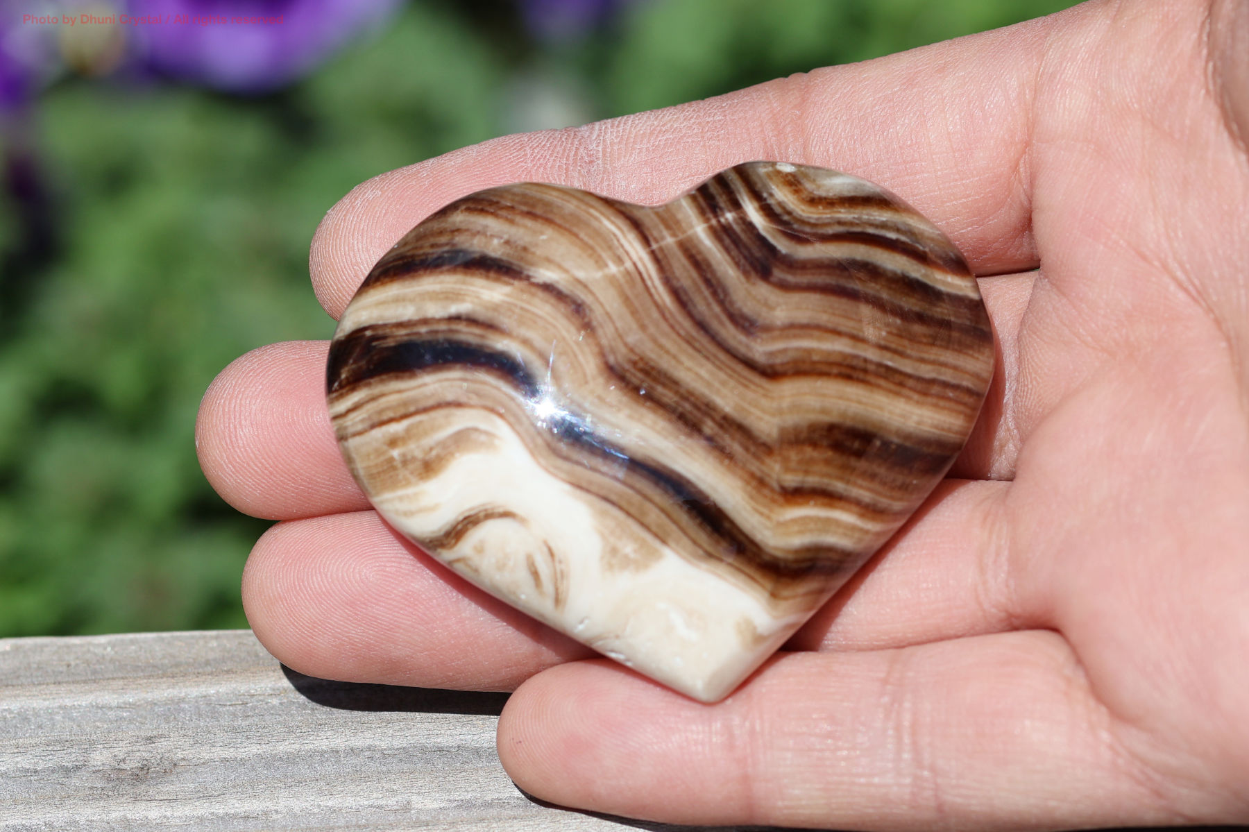 チョコレートカルサイト手の上の画像