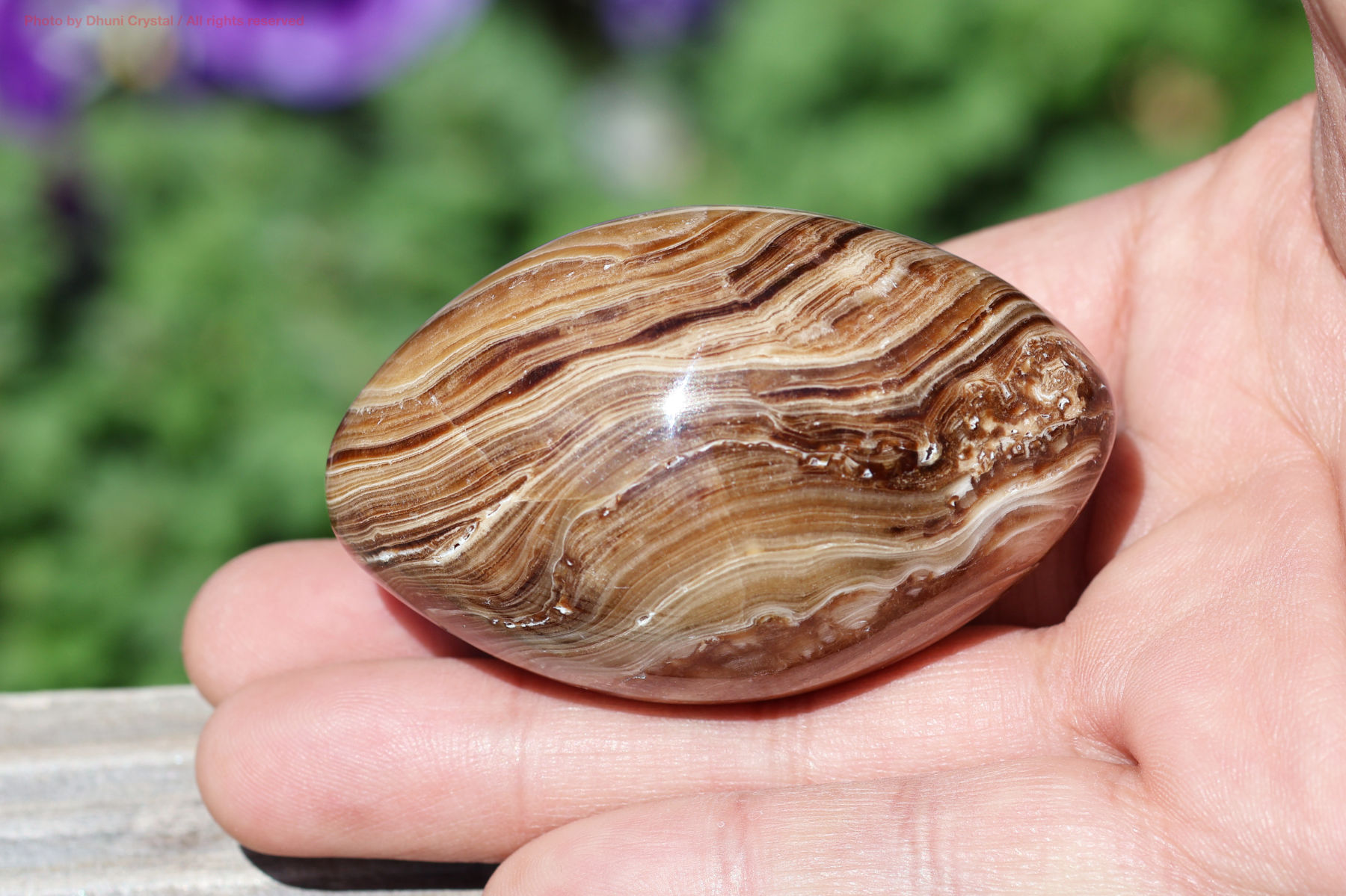 チョコレートカルサイト手の上の画像