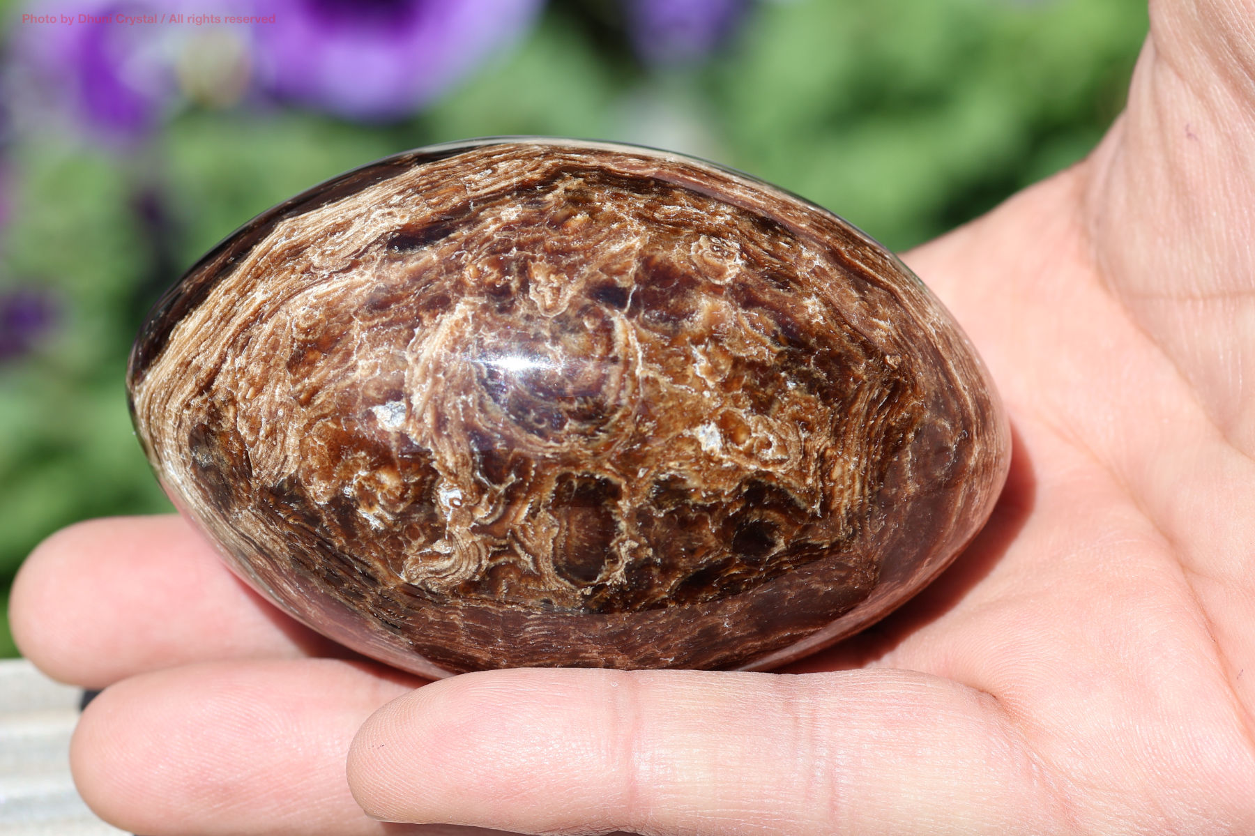 チョコレートカルサイト手の上の画像