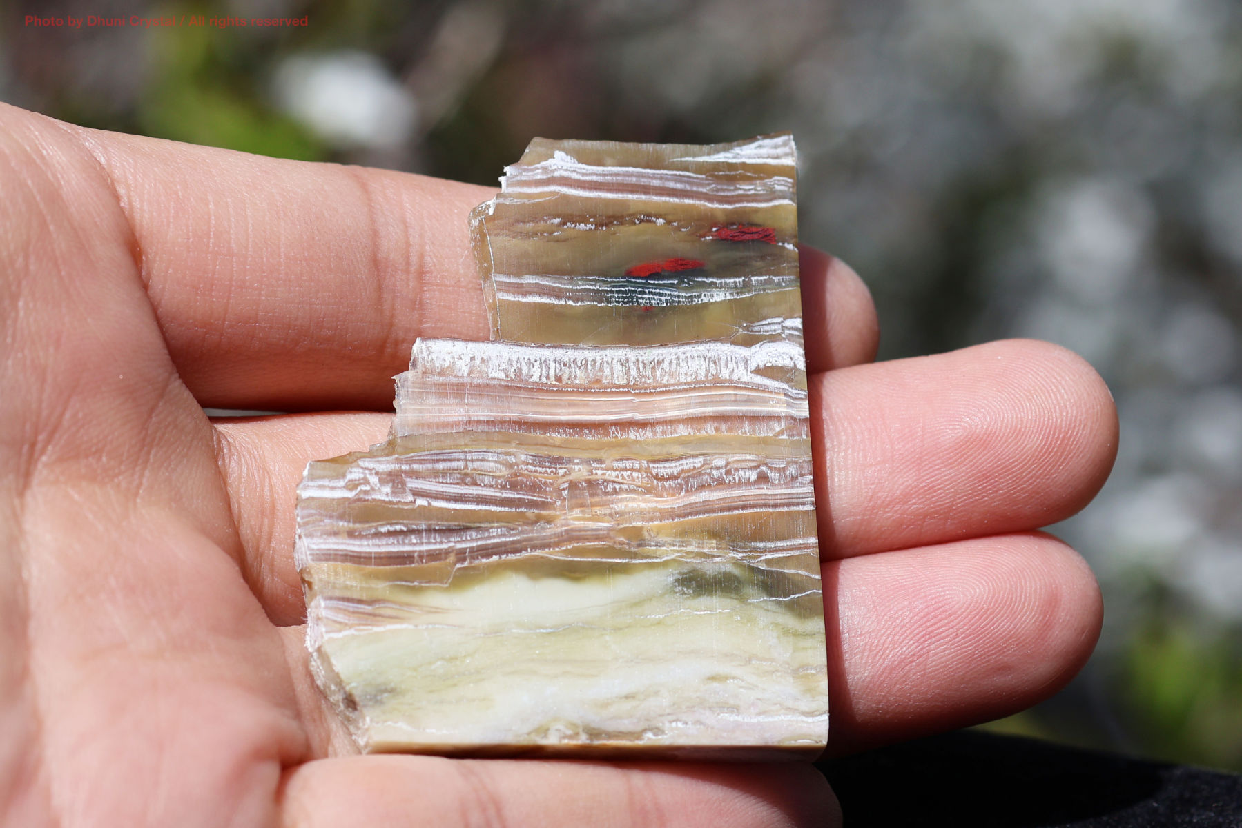 シャトヤンシーサーペンティン手の上の画像