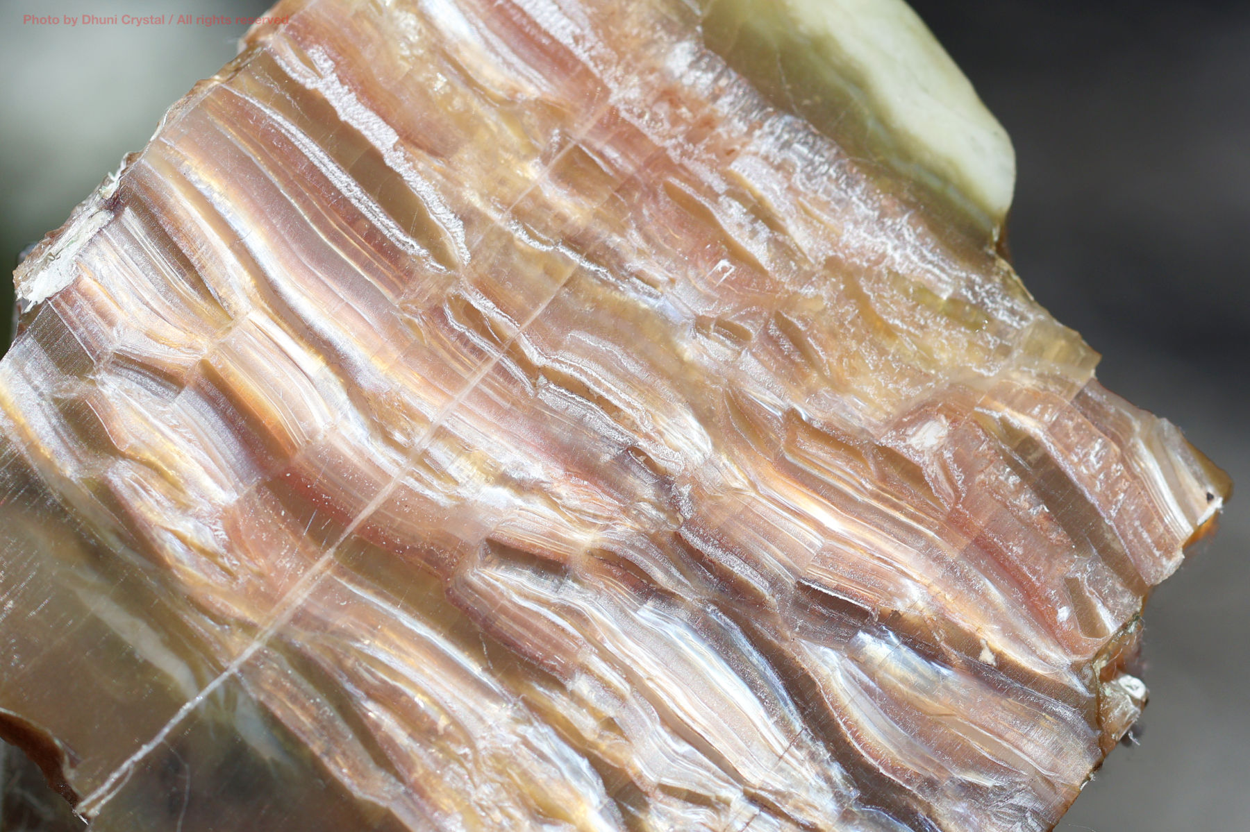 シャトヤンシーサーペンティンの画像