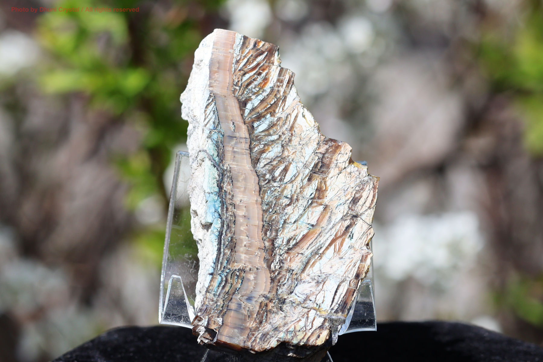 シャトヤンシーサーペンティンの画像” loading=