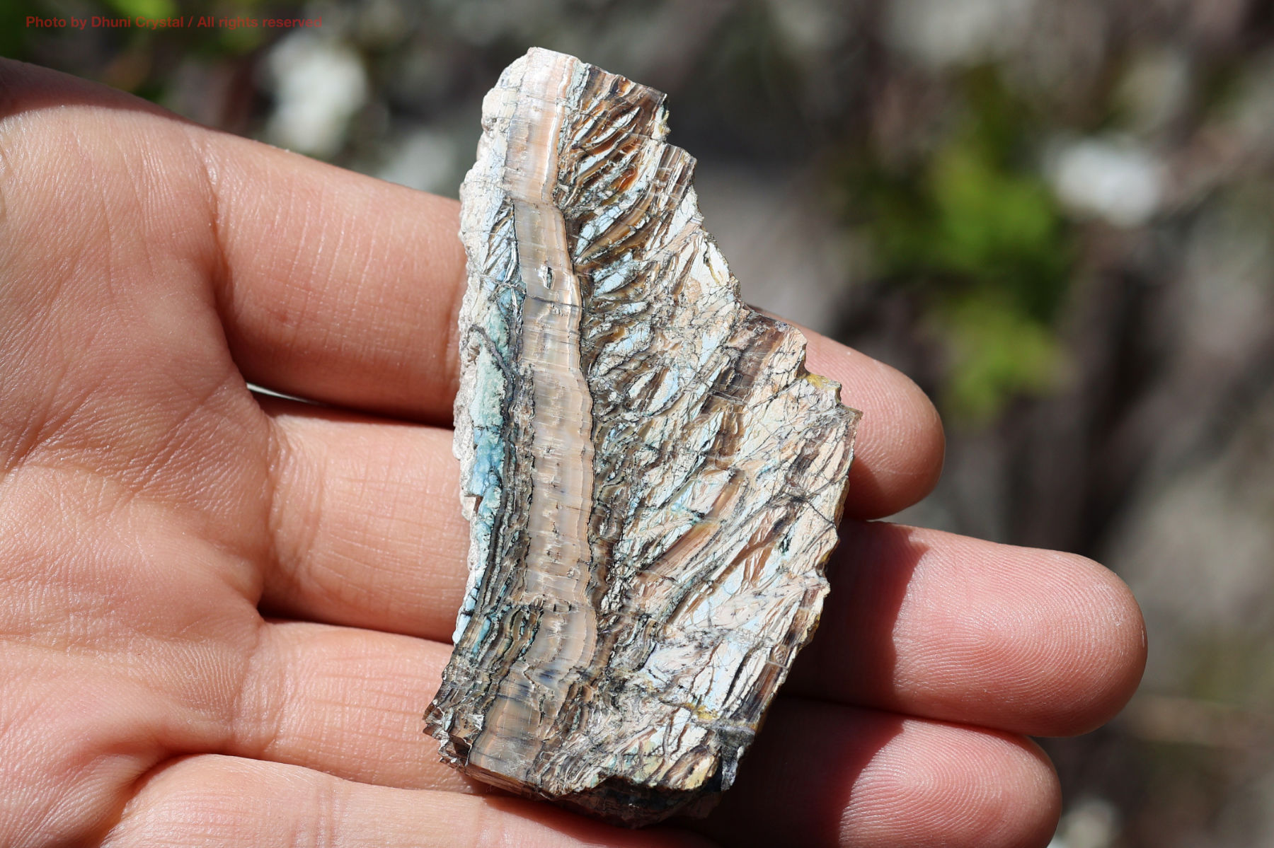 シャトヤンシーサーペンティン手の上の画像