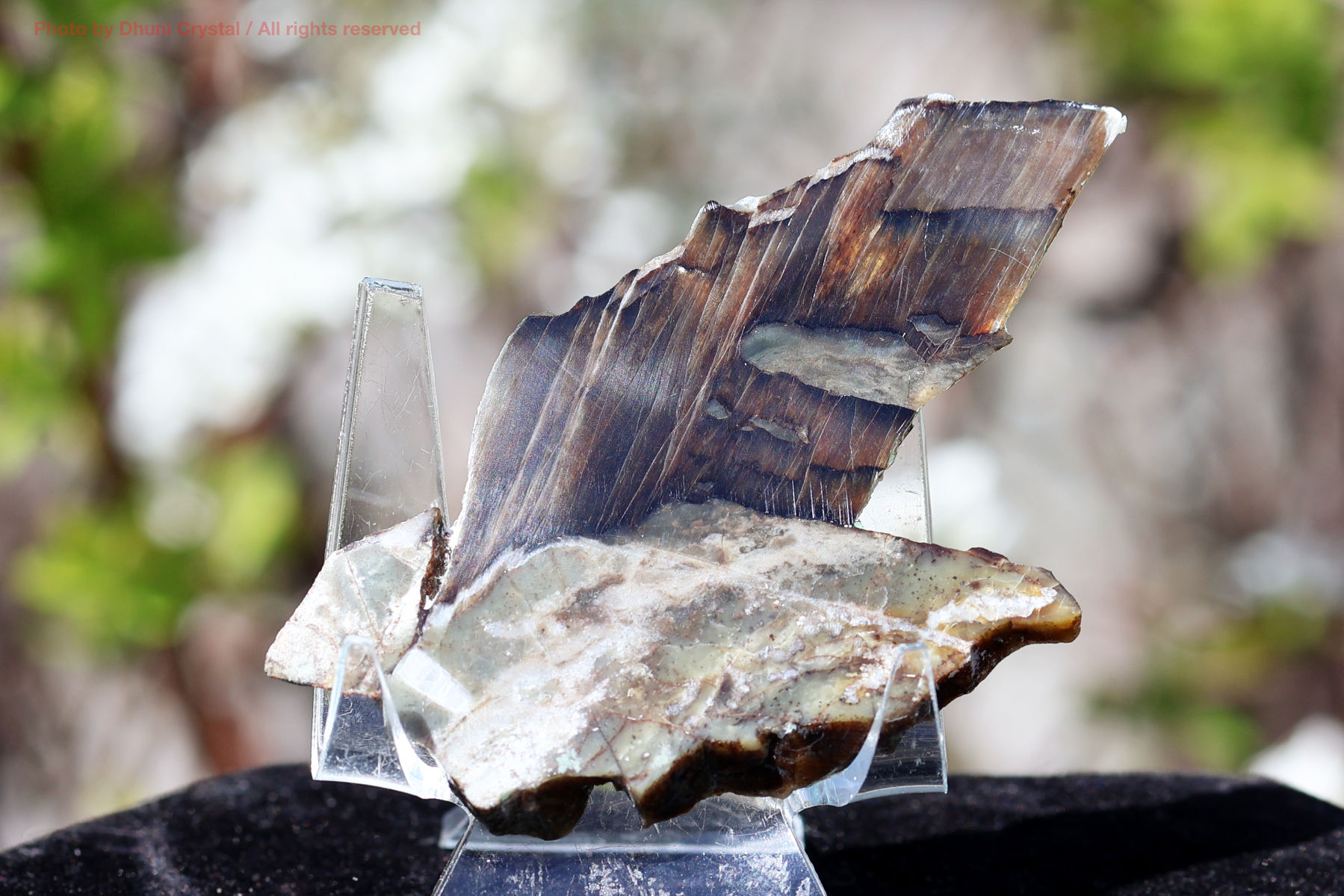 シャトヤンシーサーペンティンの画像” loading=