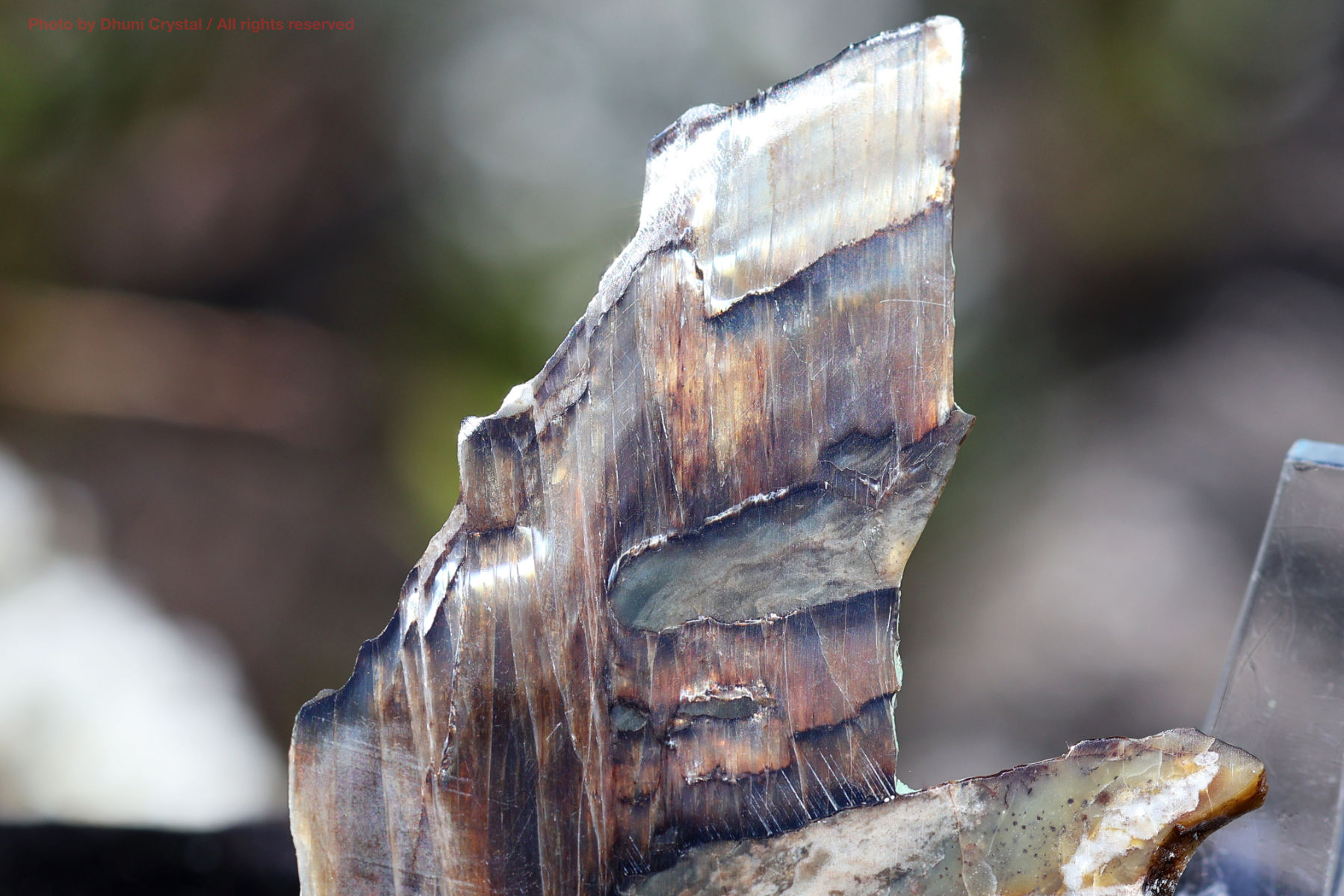 シャトヤンシーサーペンティンの画像