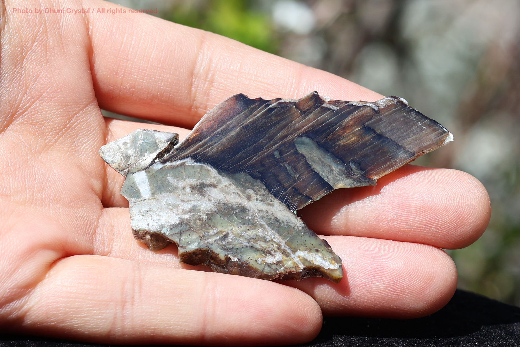 シャトヤンシーサーペンティン手の上の画像