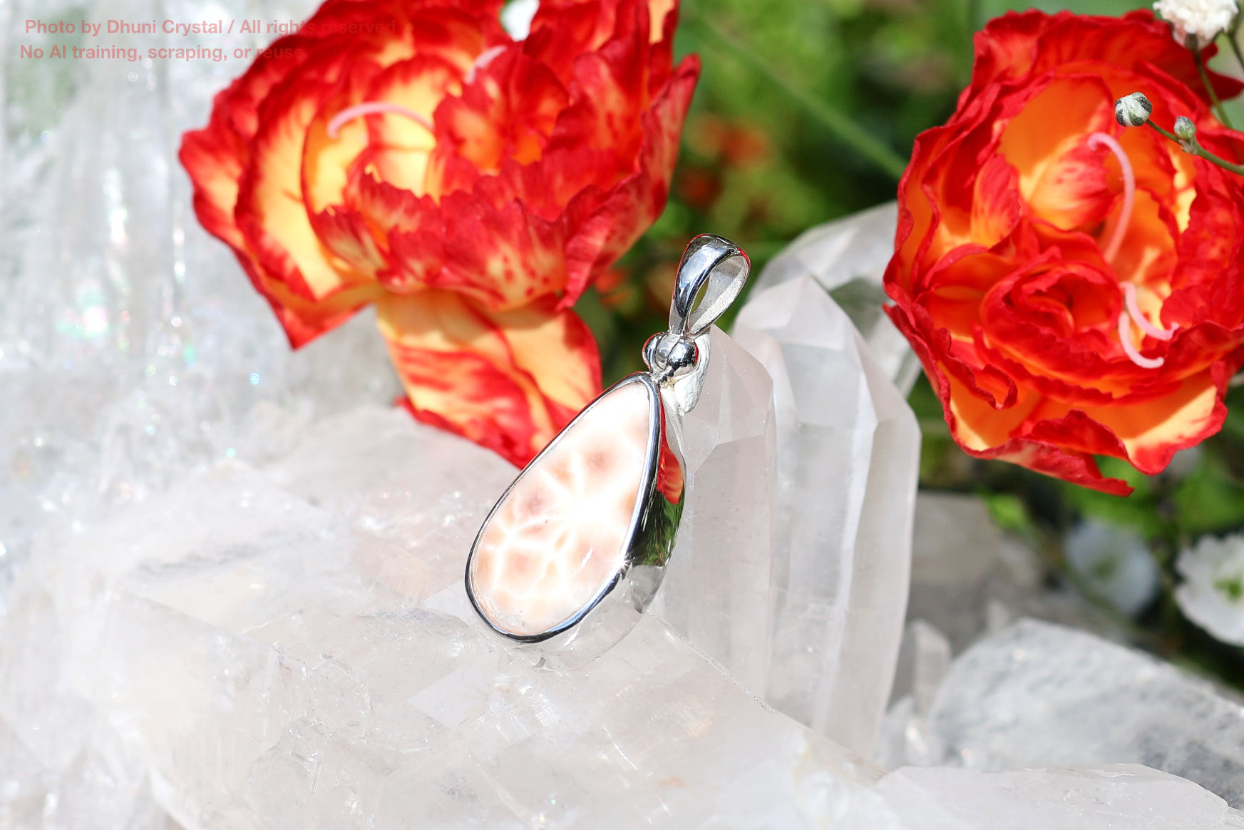 トムソナイト/スターボーンペンダントの画像