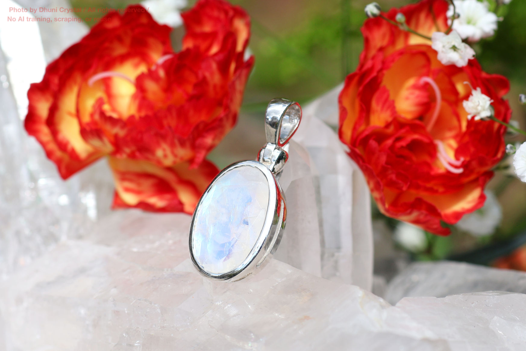 スターボーンペンダントの画像