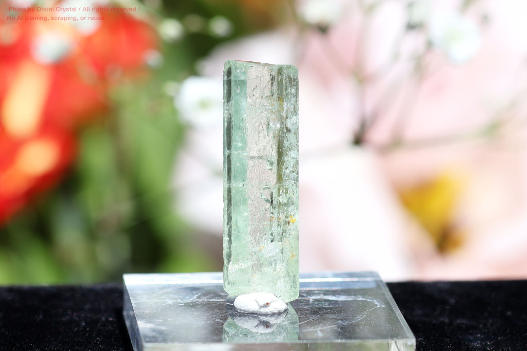 ヘリオドールの画像” loading=