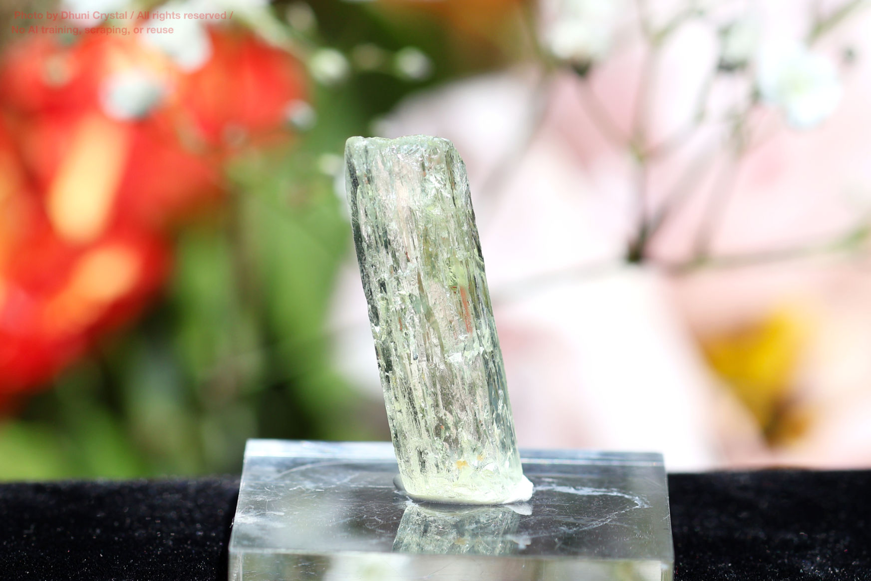 ヘリオドールの画像” loading=