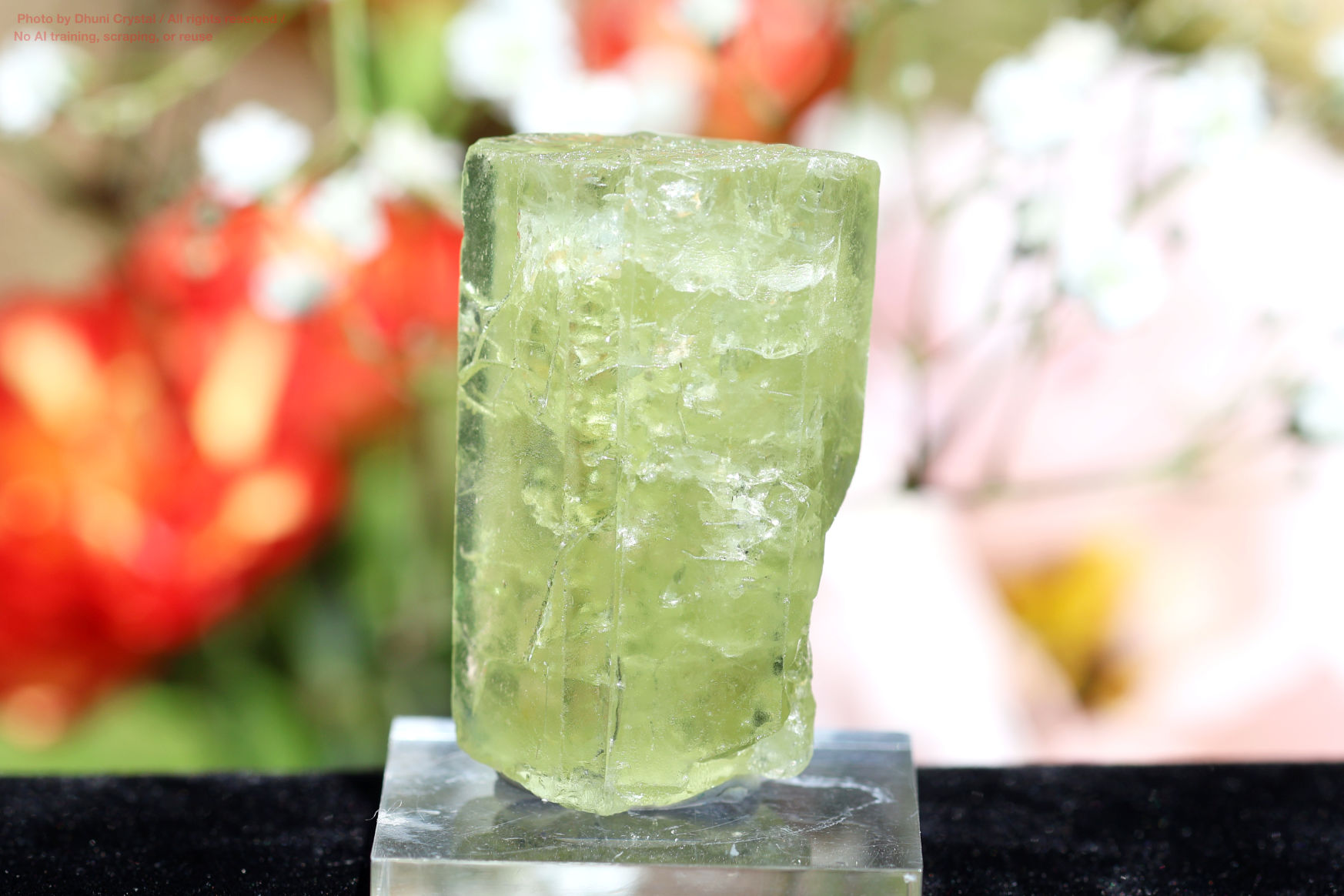 ヘリオドールの画像” loading=