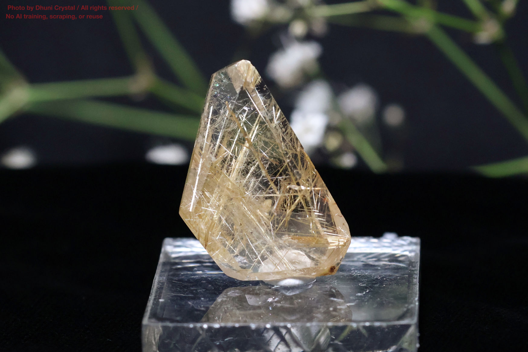 ルチルの画像” loading=