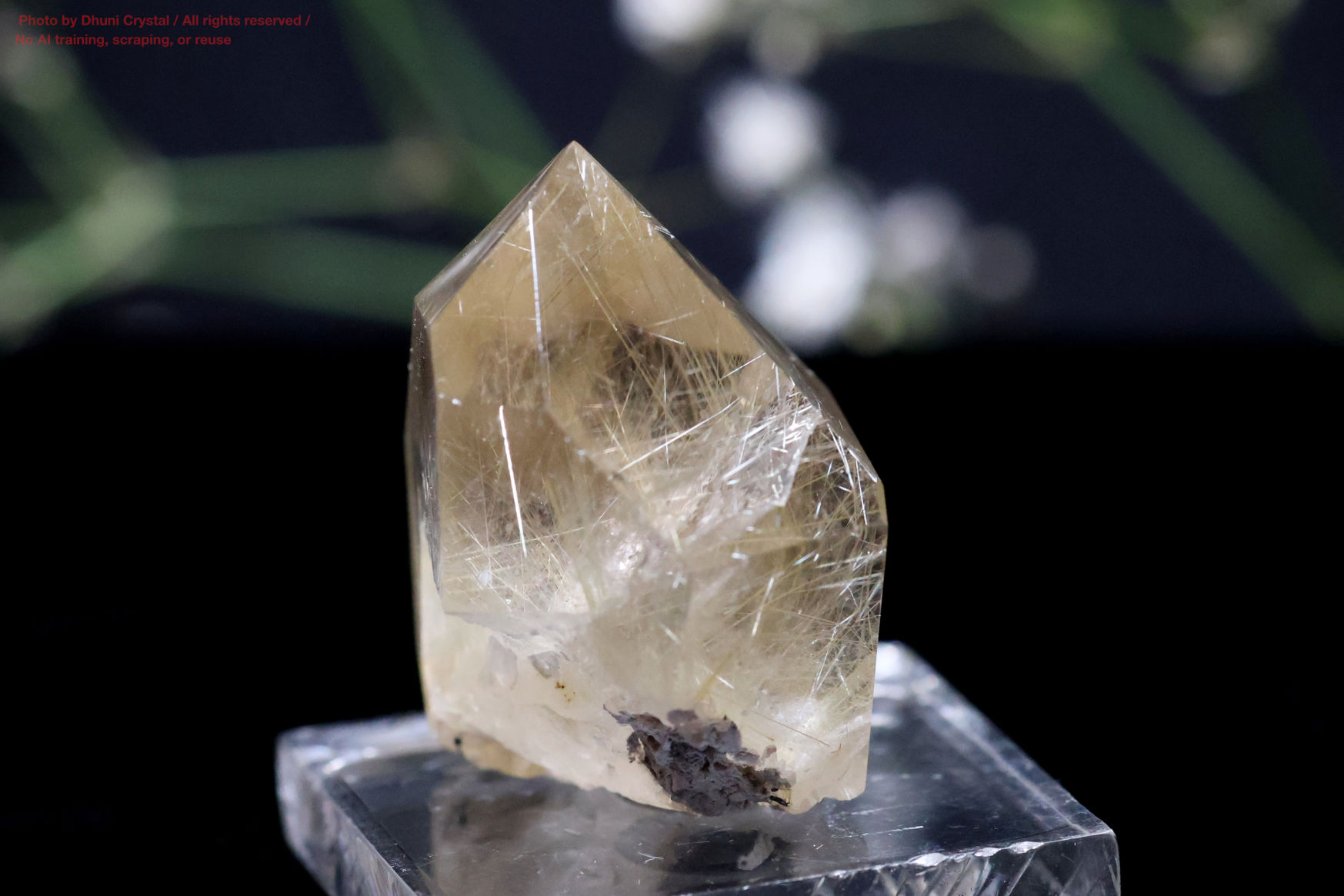 ルチルの拡大画像