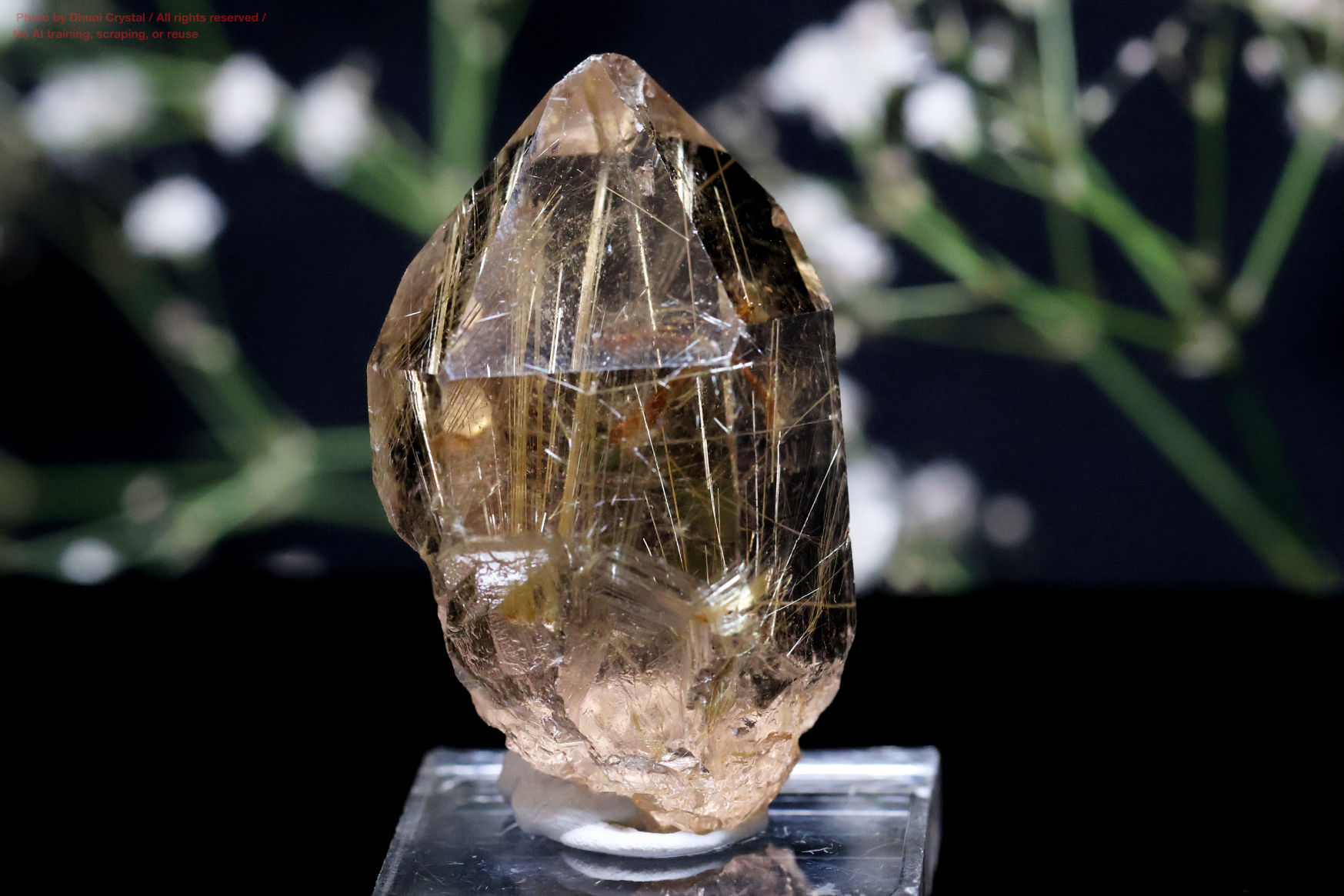 ルチルの画像” loading=