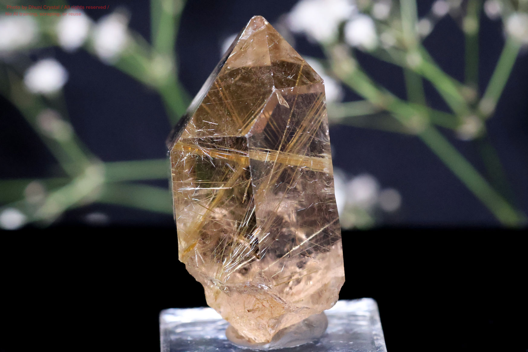 ルチルの拡大画像