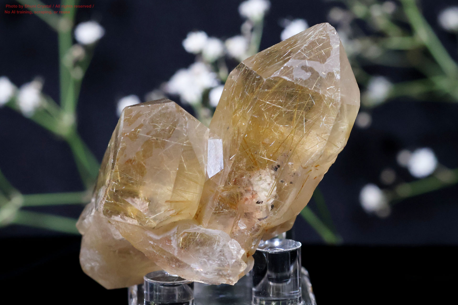 ルチルの画像” loading=