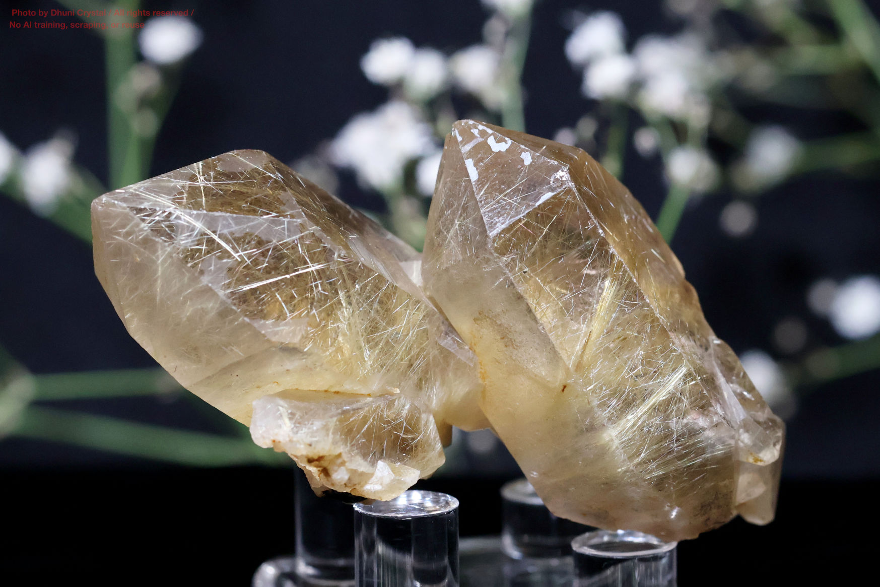 ルチルの拡大画像