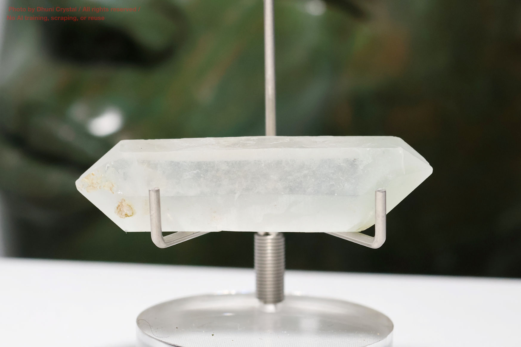 エジリン結晶の側面画像