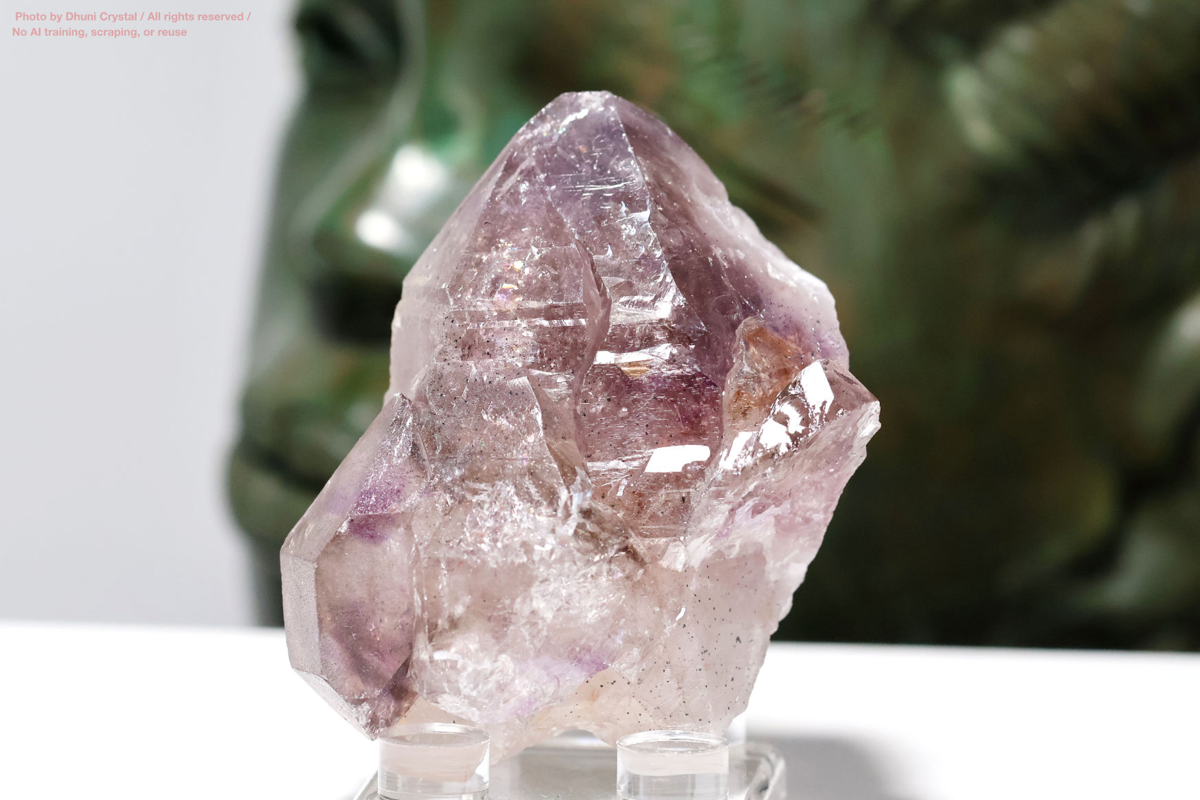 ここにどんな写真か書き込んで！！” loading=