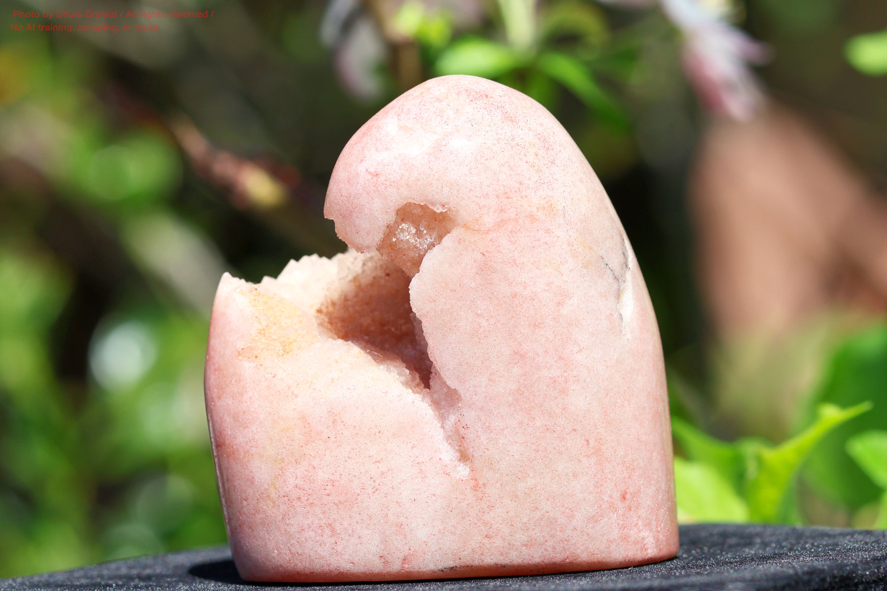 ピンクアメジストの写真” loading=