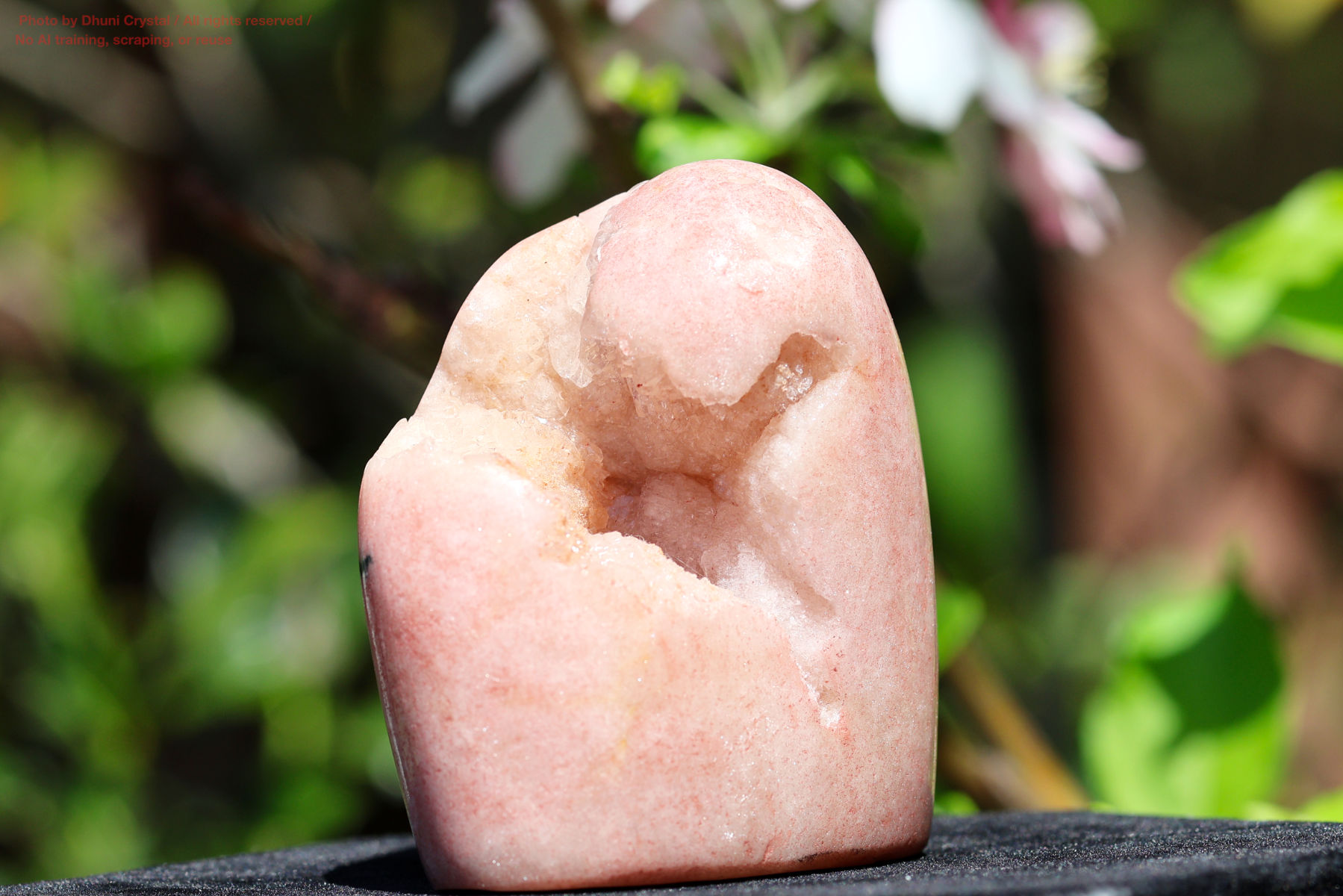 ピンクアメジストの写真