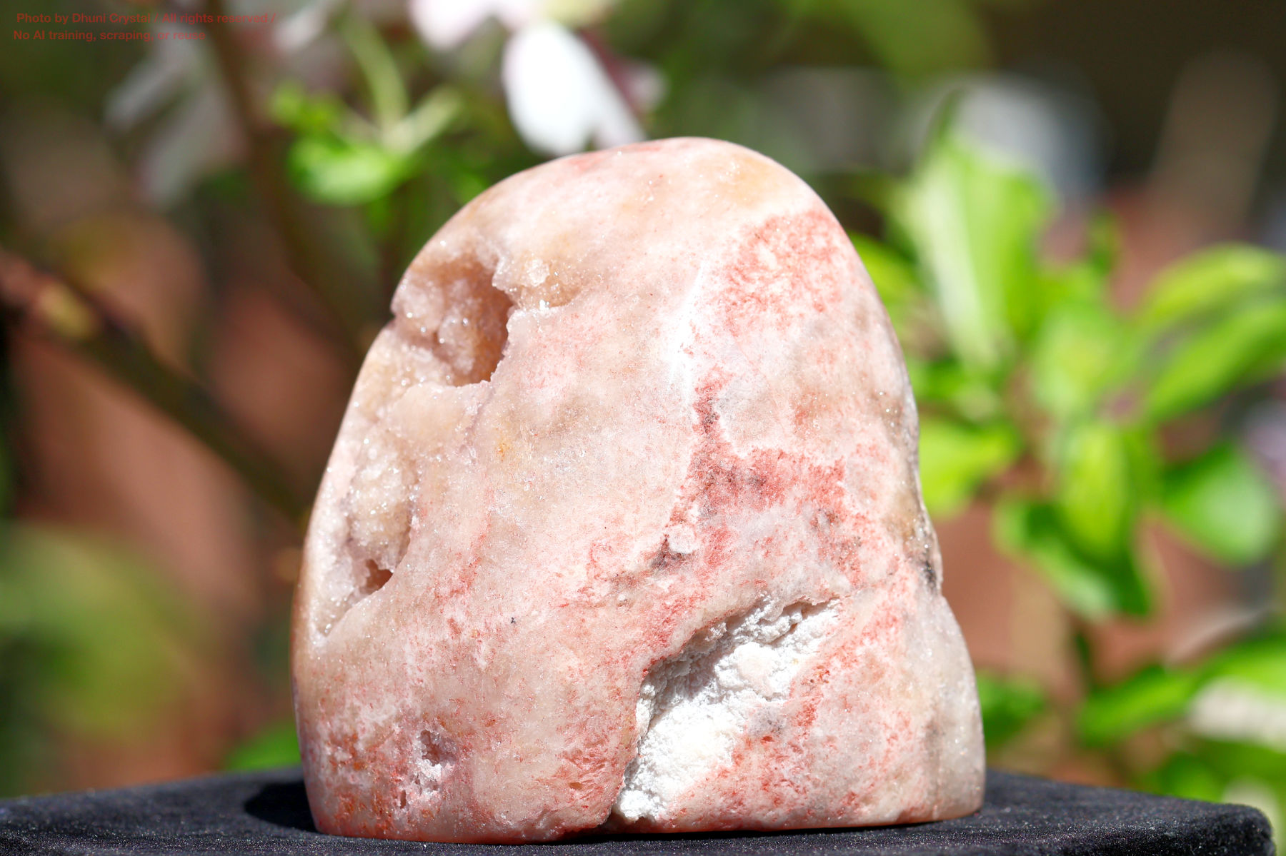 ピンクアメジストの写真” loading=