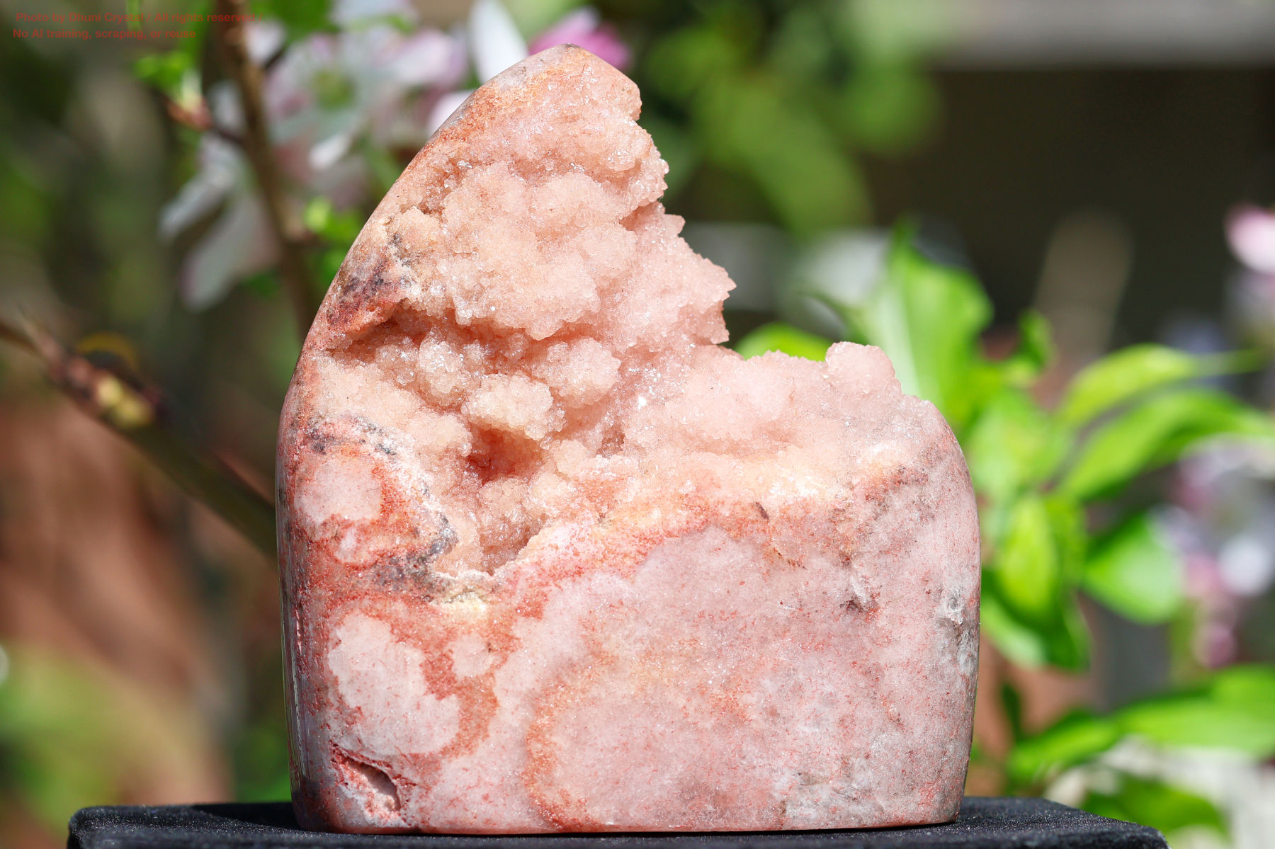 ピンクアメジストの写真” loading=