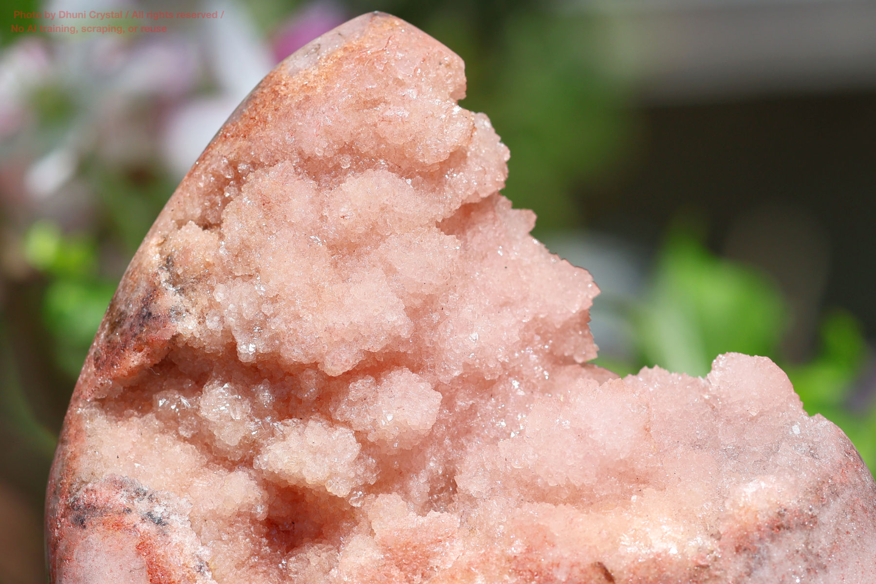 ピンクアメジストの写真