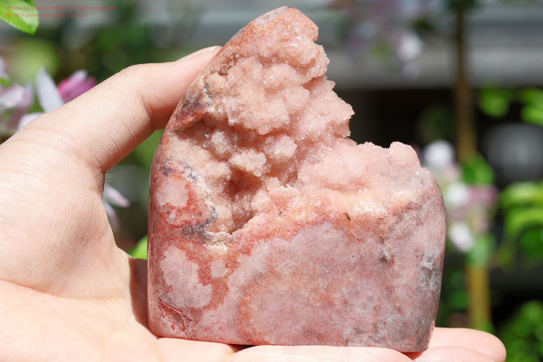 ピンクアメジスト手の写真