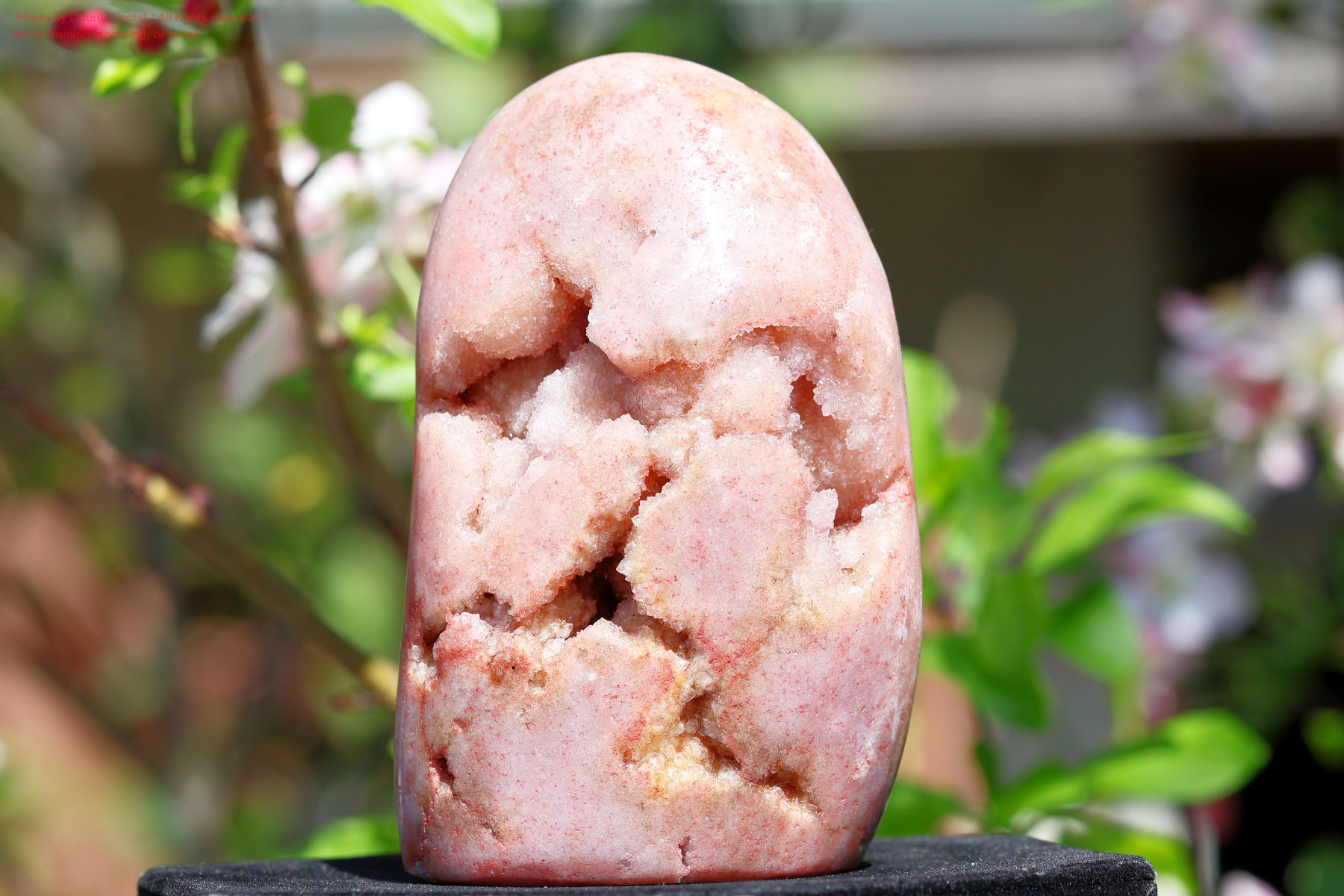 ピンクアメジストの写真” loading=