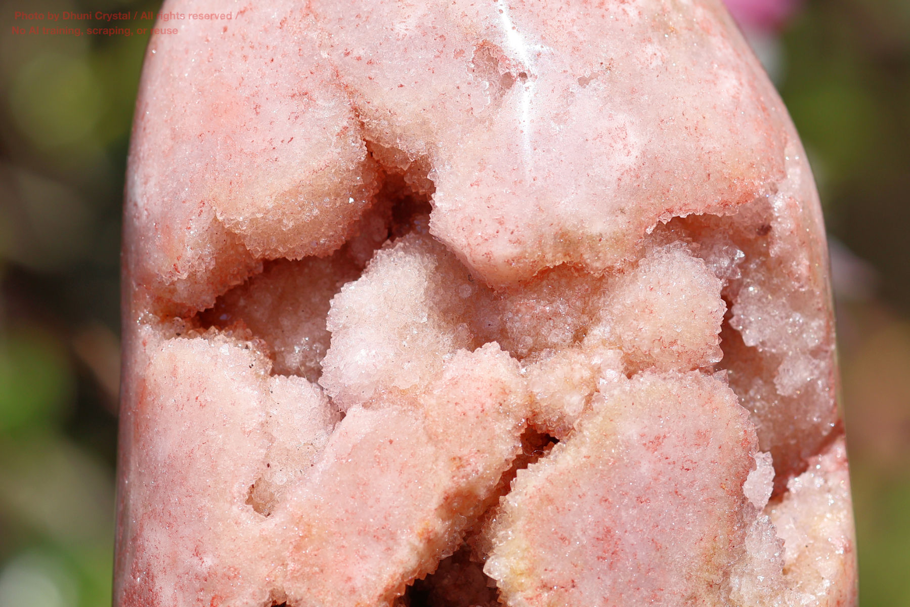 ピンクアメジストの写真