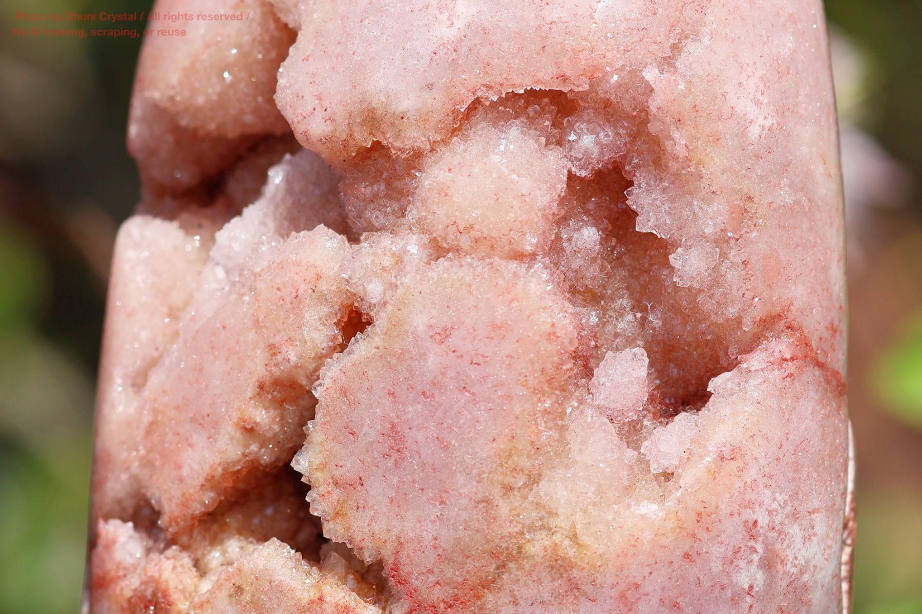 ピンクアメジストの写真