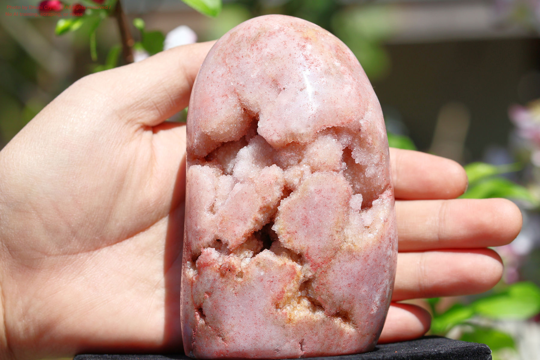 ピンクアメジスト手の写真