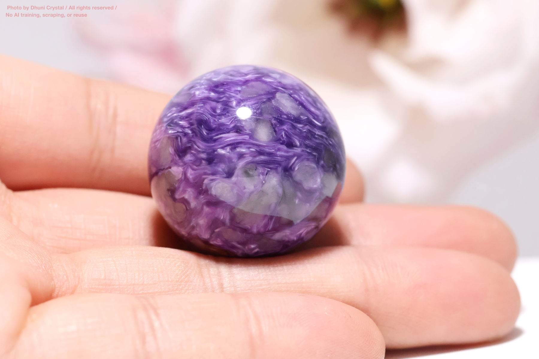 チャロアイトの画像