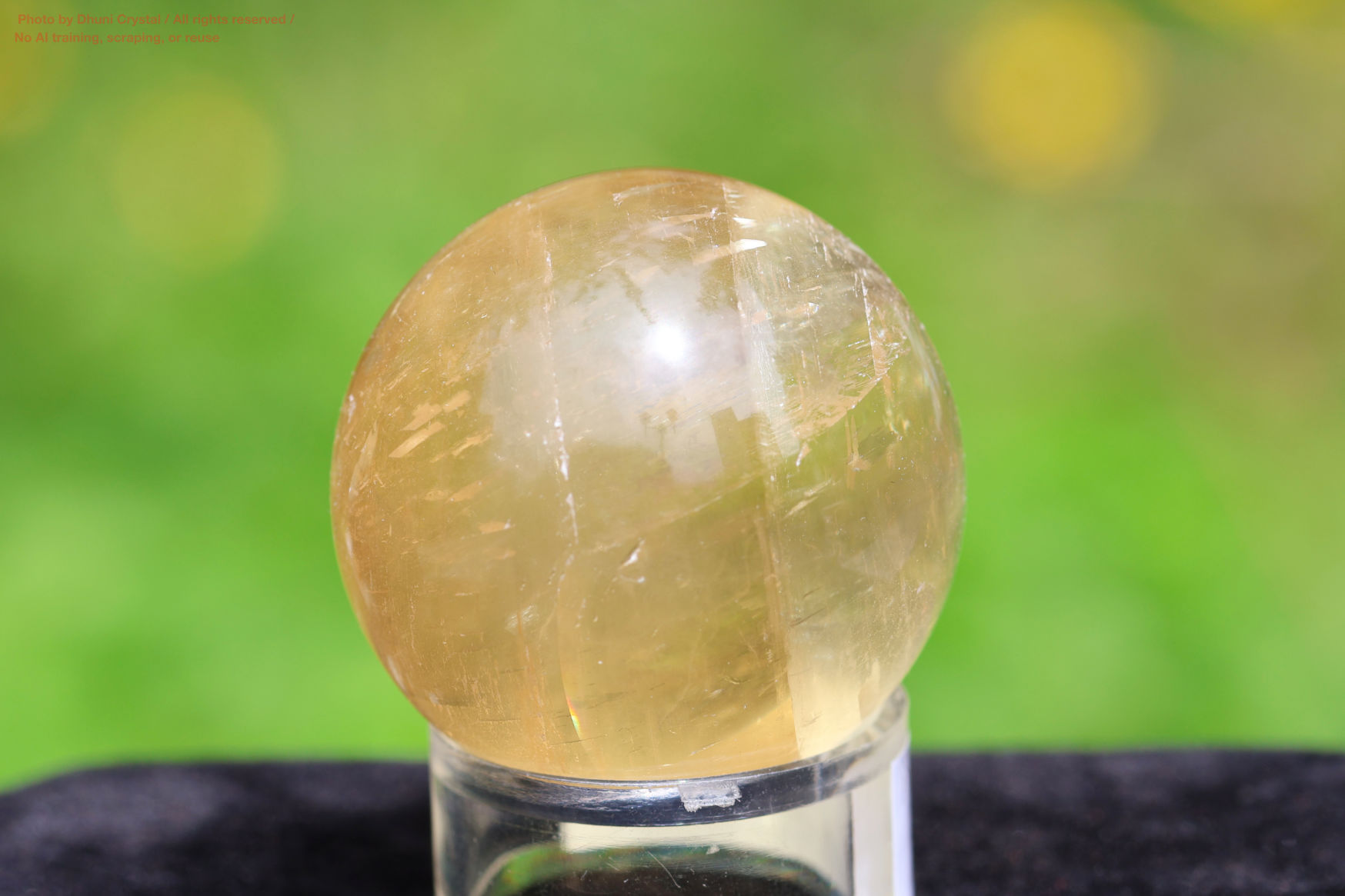 ハニーカルサイトの画像” loading=