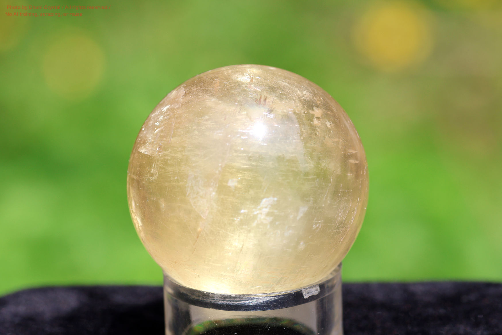 ハニーカルサイトの画像