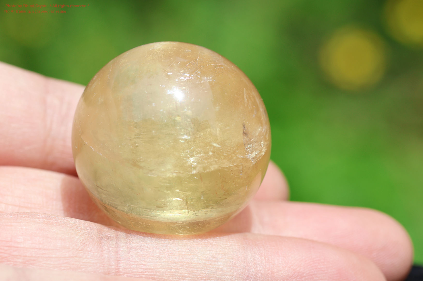 ハニーカルサイト手の上の画像