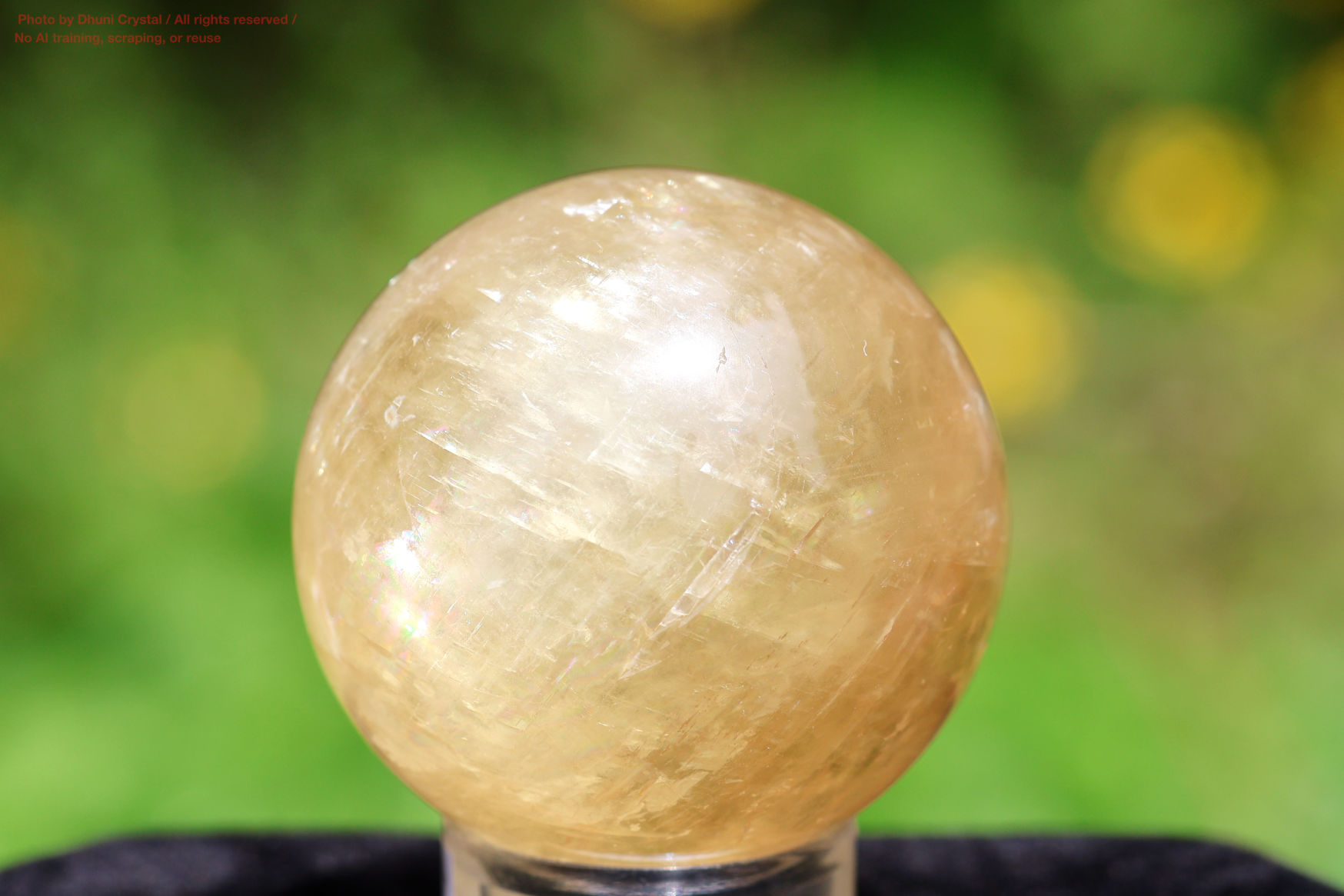 ハニーカルサイトの画像” loading=