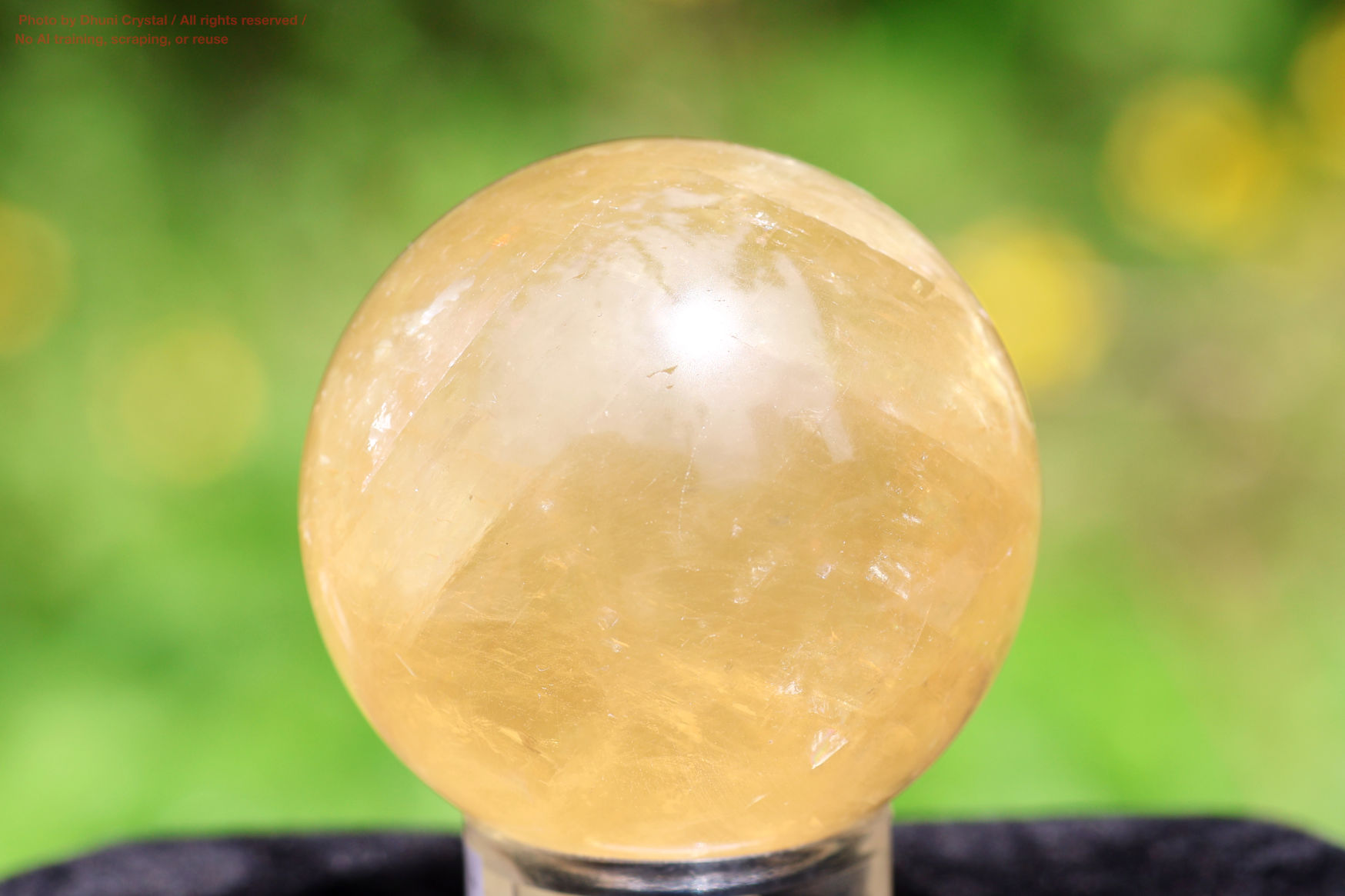 ハニーカルサイトの画像