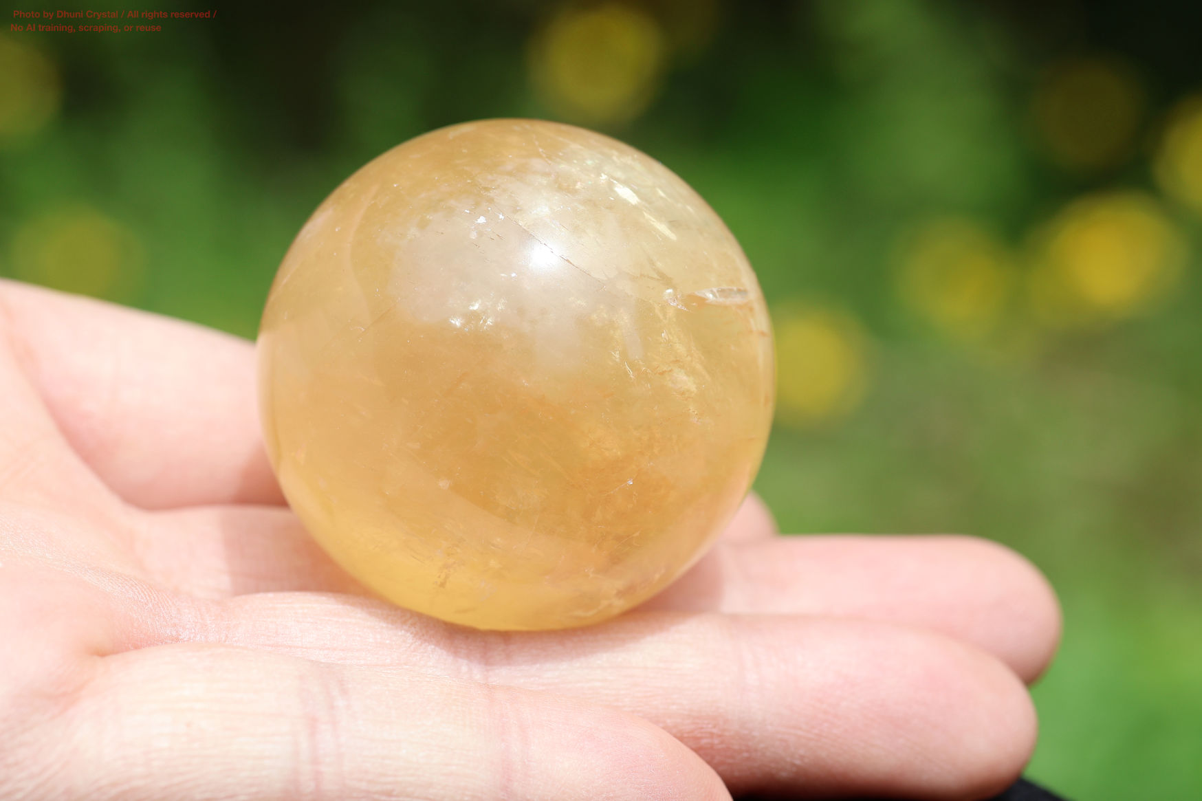 ハニーカルサイト手の上の画像